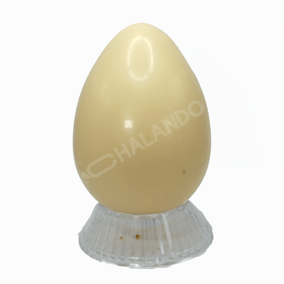 Uovo Cioccolato
